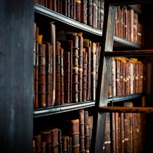 Livres anciens sur les étagères d’une bibliothèque, aux reliures éclairées par une lumière latérale.